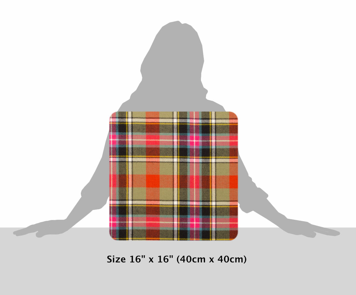 Bruce of Kinnaird Ancient Tartan Cushion
