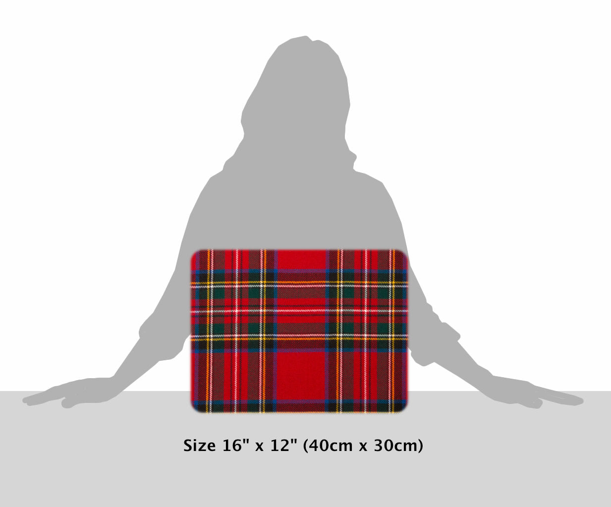 Stewart Royal Modern Tartan Cushion